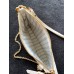 Lushentic Rep EASY POUCH ON STRAP Crème White Monogram Empreinte Leather Women Shoulder Bag