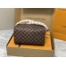 Lushentic Rep Braided Speedy 25 Handbag Cross-body Damier Ebene Canvas N40450